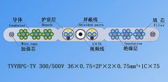 扁平絞合型排列帶屏蔽、鋼芯和視頻線電梯電纜