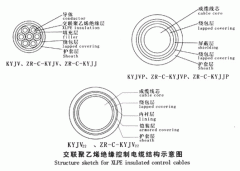 KYJV，KYJVP，KYJV22額定電壓0.6/1kV交聯(lián)聚乙烯絕緣控制電纜