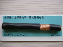 DJYPVP 2*2*0.75 分屏蔽、總屏蔽電子計(jì)算機(jī)屏蔽電纜