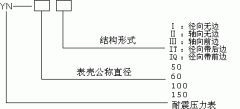 YN-60/YN-100抗/防/耐震壓力表