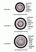 PTYA23、PTYA22鐵路鎧裝信號電纜